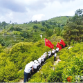 紅綠共生 茶香萬里 ——隨縣草店鎮(zhèn)以干部能力提升寫好“茶文章”走好“振興路”