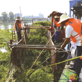 清除水葫蘆萬余噸—— 我市全力守護(hù)白云湖瀲滟波光