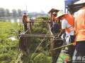 清除水葫蘆萬余噸—— 我市全力守護(hù)白云湖瀲滟波光