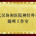 好消息！“近”享頂尖醫(yī)療服務(wù)！協(xié)和醫(yī)院神經(jīng)外科知名專家團(tuán)隊(duì)每周四到市中心醫(yī)院坐診、手術(shù)！