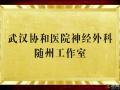 好消息！“近”享頂尖醫(yī)療服務(wù)！協(xié)和醫(yī)院神經(jīng)外科知名專家團(tuán)隊(duì)每周四到市中心醫(yī)院坐診、手術(shù)！