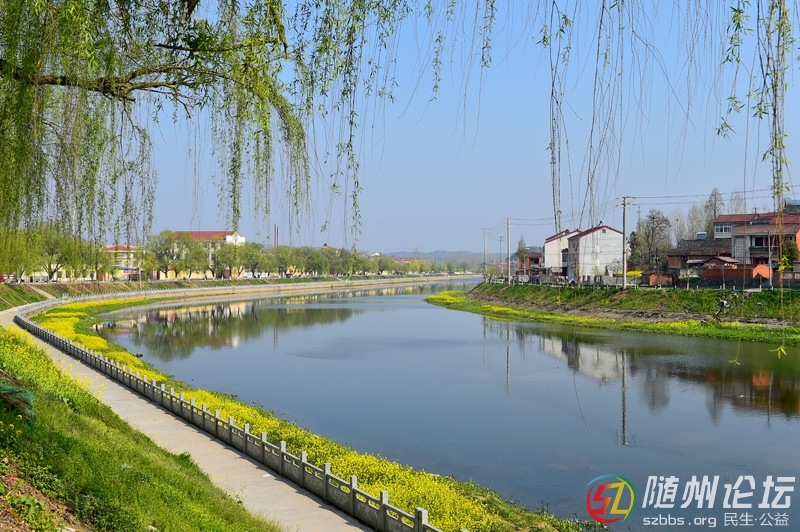 1、《一河兩岸》 林俊.jpg