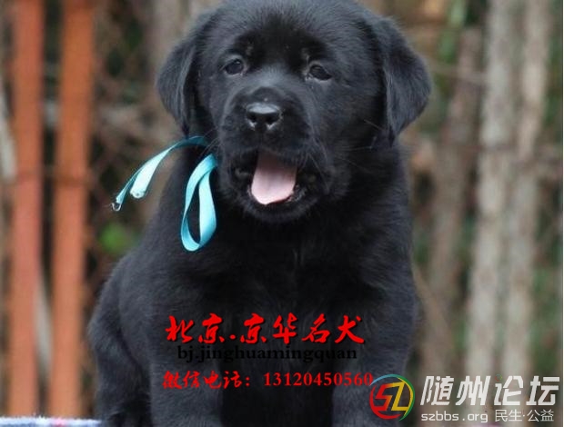 20131219101120big.jpg