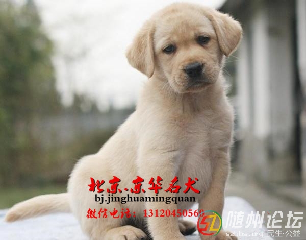 20131219213235big.jpg