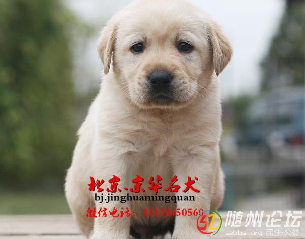 20131219213236big.jpg