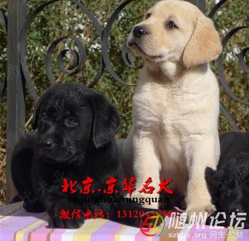 20131220201650big.jpg