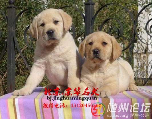 20131220201649big.jpg