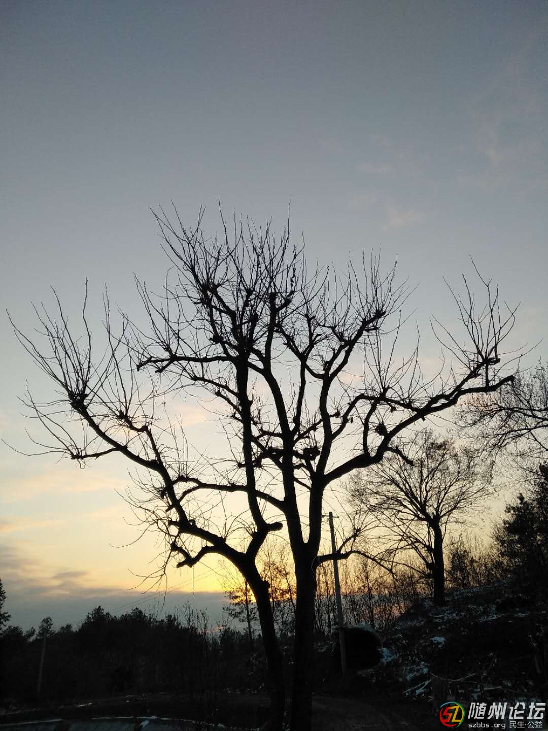 晚1.jpg